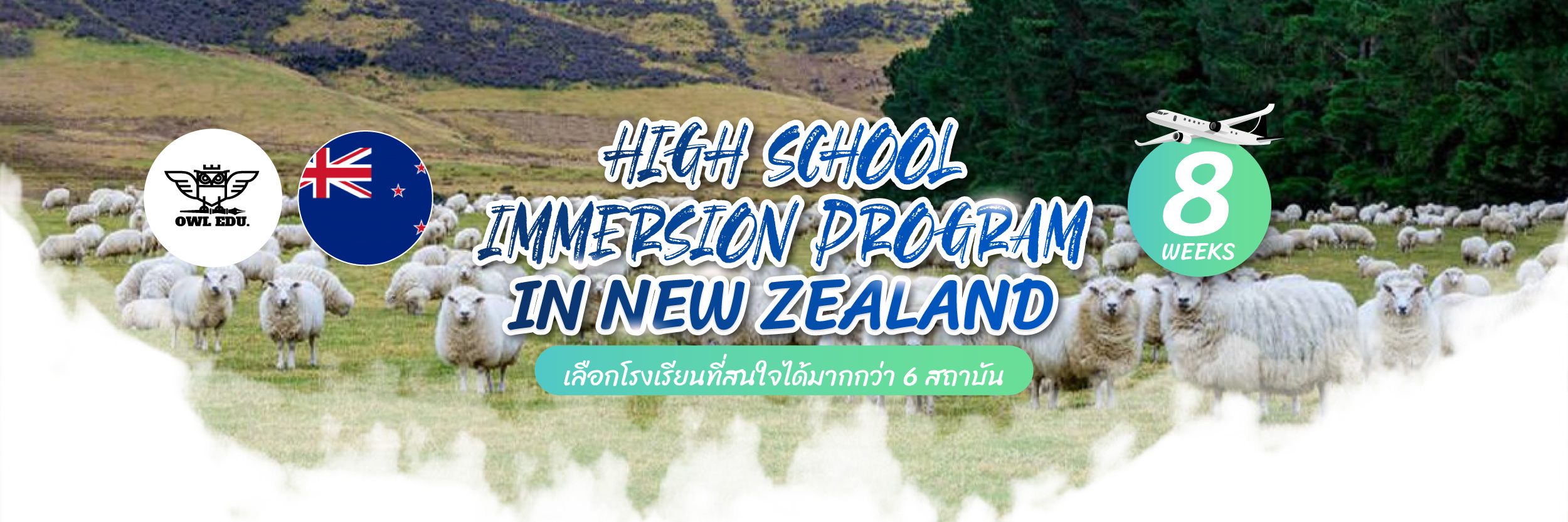 banner summer camp new zealand-03